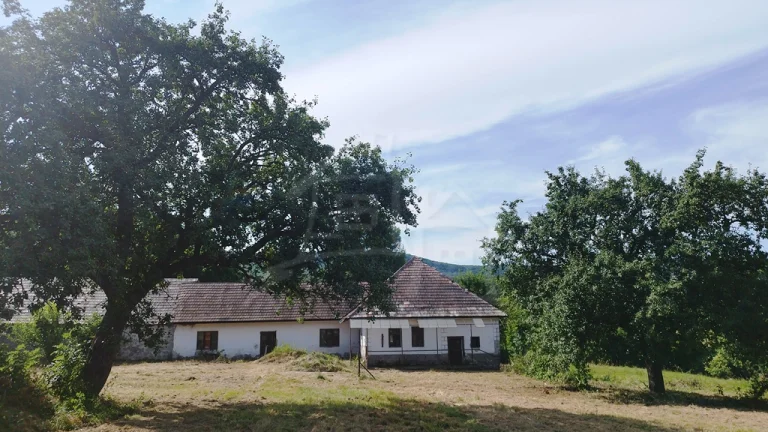 Usadlosť v lone prírody