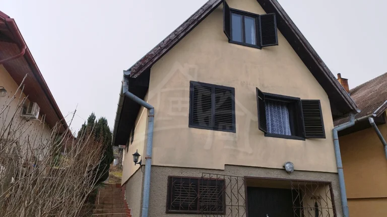 Chatka s viničom a priestrannou pivnicou v lukratívnej čas