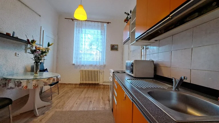 Pronájem zařízeného bytu 1+1 Židenice 60 m2, 1.NP - volný