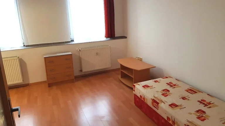 Pronájem bytu 1+KK v Trutnově