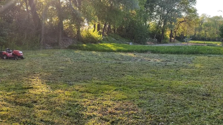 Pronajmu zahrádku k rekreaci