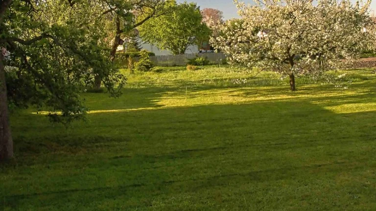 Prodám parcelu v obci Ráby, 592m2