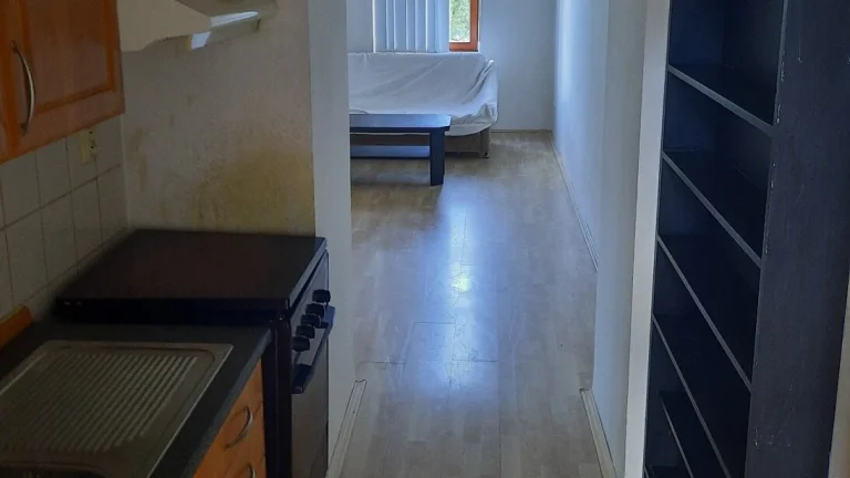 Pronájem bytu 2+1 53m² s balkonem v Brně-ulice Pionýrská