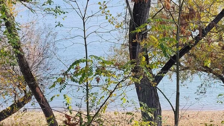 Na predaj pozemok na výstavbu RD Štúrovo