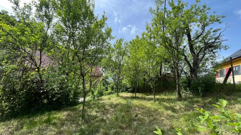 Zahrada Jankovice