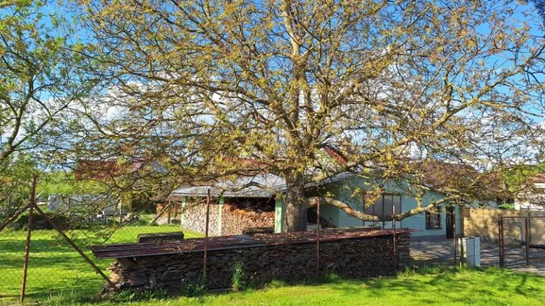 Prodej rodinného domu 216 m², pozemek 388 m²_Rožnov/Jaroměř