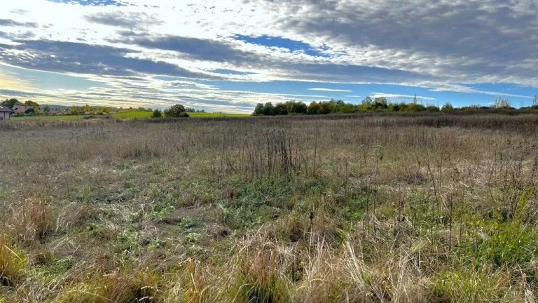 Prodej pozemky - trvalý travní porost, 4 429 m2 - Libeř