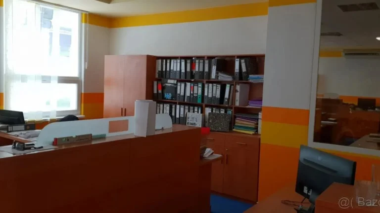 NA PRENÁJOM OBCHODNÉ/KANCELÁRSKE/SKLADOVACIE KLIMATIZOVANÉ P