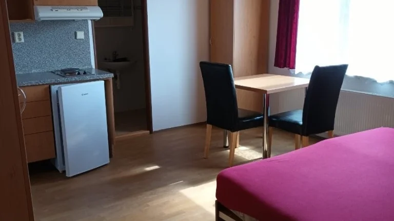 Pronájem byt 1+0 Březka, Velká Bíteš, okr. Žďár N/S