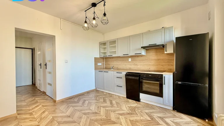 Pronájem bytu 3+1, 69 m², ul. Svatopluka Čecha, Bohumín
