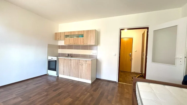 Pronájem bytu 1+kk, Manětínská, Bolevec, Kč/měs, 26 m2