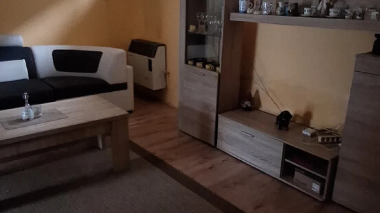 Rodinný dom (podnikateľský objekt)