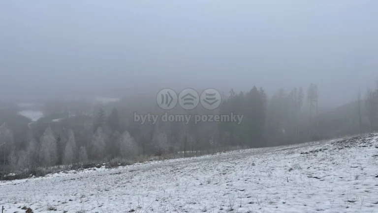 Prodej, les, 8638 m2, Železný Brod