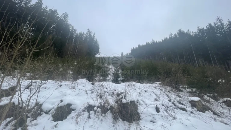 Prodej, les, 22863 m2, Bozkov