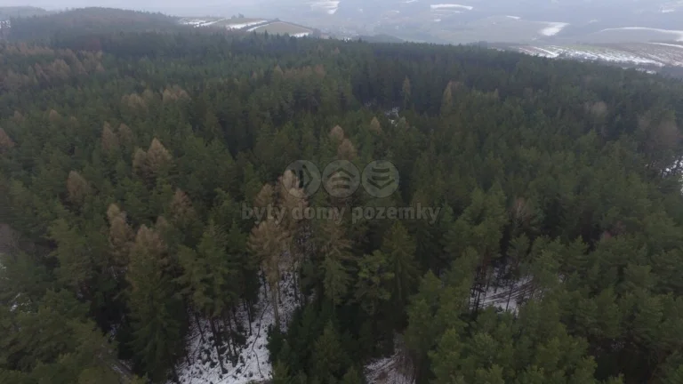 Prodej, les, 16113 m2, Buřany, Jablonec nad Jizerou