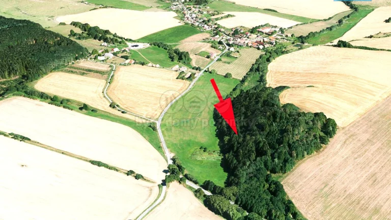 Prodej lesa, louky a vodní plochy, 8352 m², Sedliště