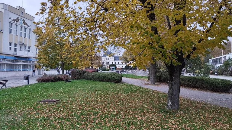 Obchodný priestor v bezprostrednom centre Humenného na prená