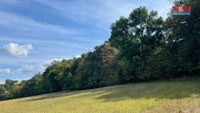 Prodej lesa, 845297 m², Kněždub