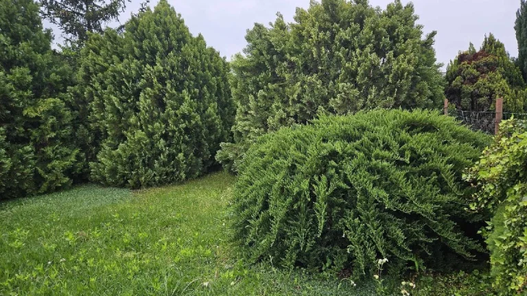 Prenájom rodinného domu v obci Okanikovo