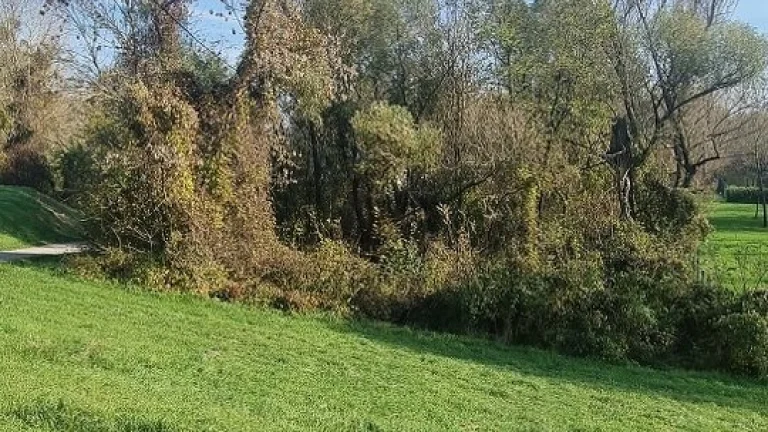 Predaj rekreačného pozemku v Gabčikove