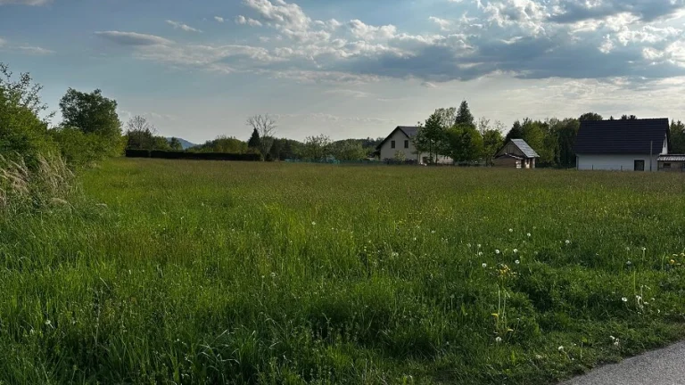 Pronájem pozemku 10300 m² Jizbice