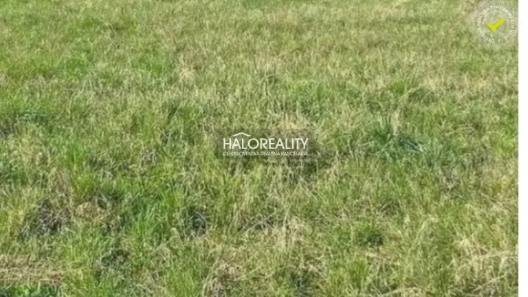 HALO reality - Predaj, rekreačný pozemok Chtelnica