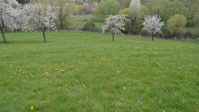 Na predaj záhrada na dva RD s vyhľadom na lesy
