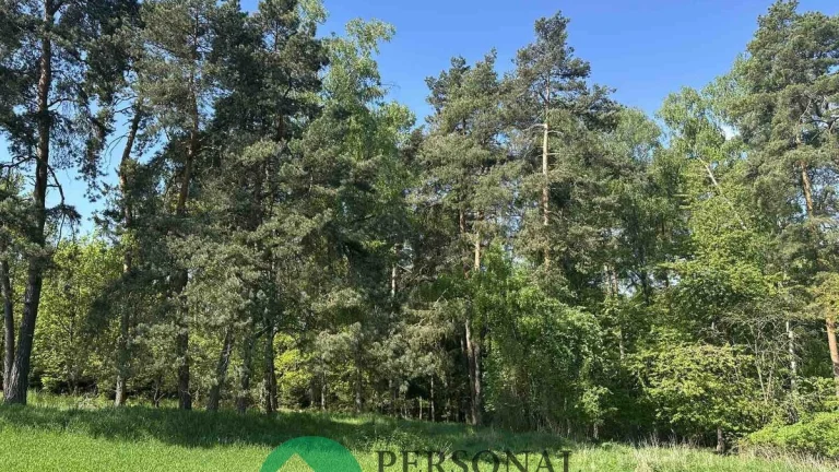 Prodej lesy, 3 934 m2 - Krakov u Rakovníka, ev.č. 02264