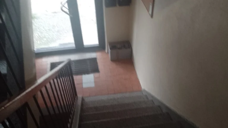Dám do prenájmu