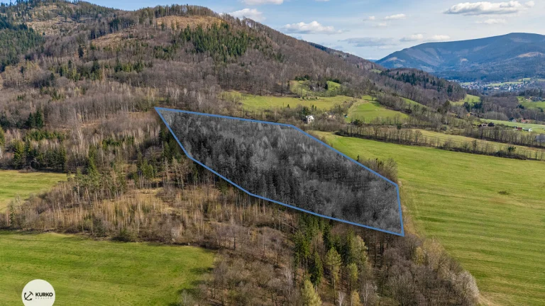 Prodej lesního pozemku, 20 736 m², Vyšní Lhoty