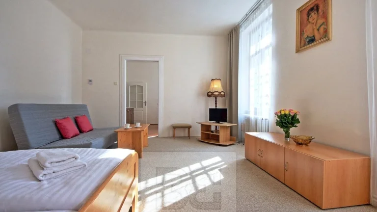 Prostorný a slunný byt 2+kk v klidné části centra Prahy