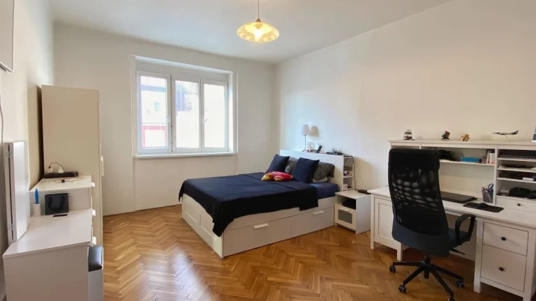 Pronájem bytu 1+1, V Horkách, Nusle, 20.000 Kč/měs, 52 m2