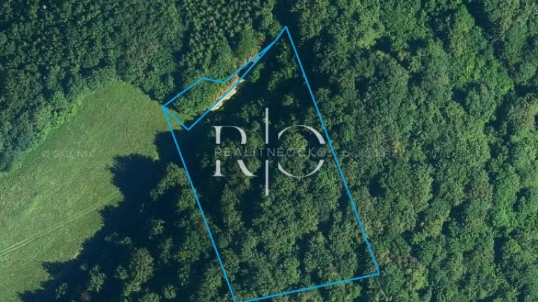 Na predaj trvalý trávny porast o výmere 9225 m2 v obci Zliec