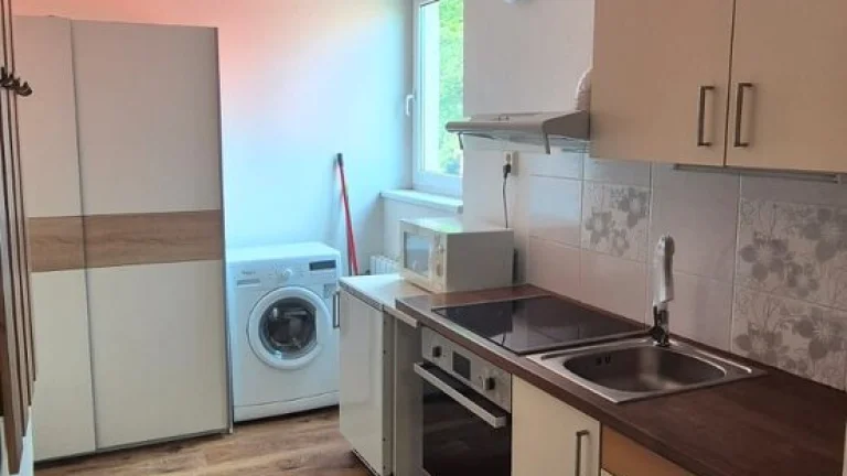 Pronájem bytu 1+1 Horka nad Moravou