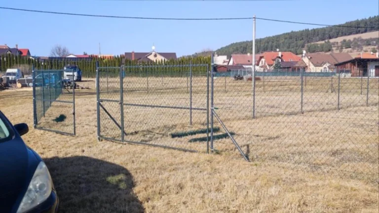Záhrada
