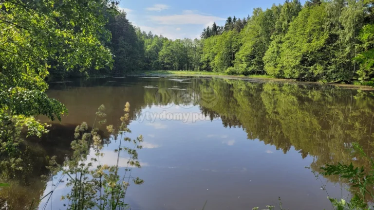 Prodej vodní plochy- rybnik, 13432 m², Luhov u Toužim