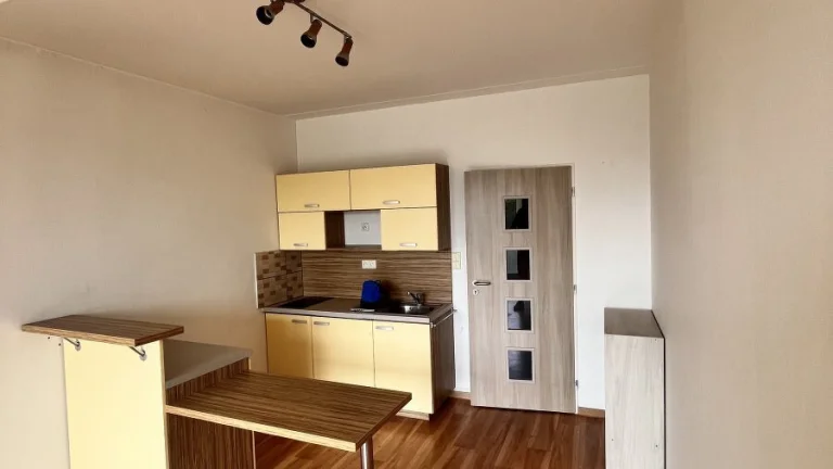 Pronájem bytu 1+kk, Kavaleristů, Hodolany, 13500 Kč/měs, 31