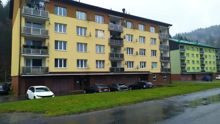 Pronajmu garsonku