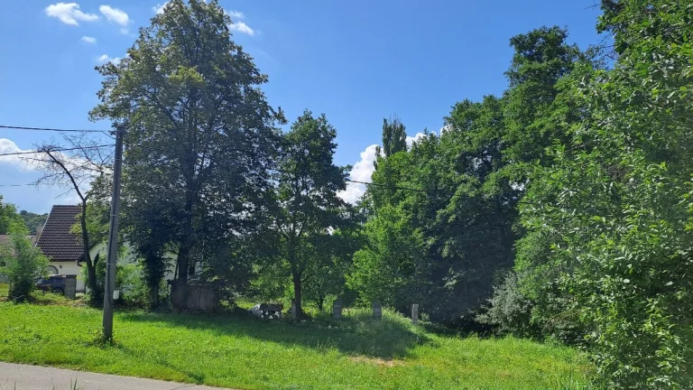 Predám pozemok v Malej Čausi.