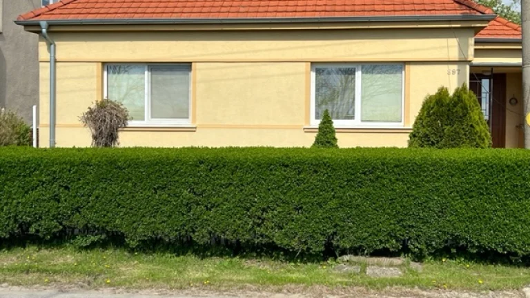 Na predaj rodinný 4. izbový dom v Močenku s dvojgarážou, Čin