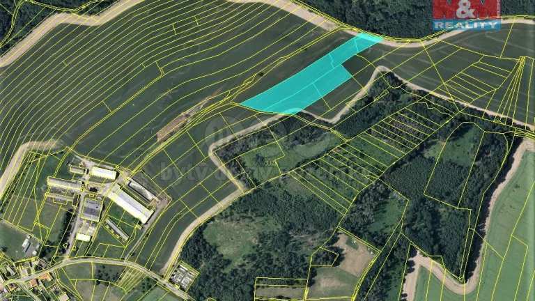 Prodej pole, 11645 m², Pavlov u Loštic