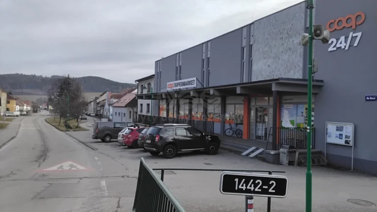 Pronájem obchodní či výrobní prostory, 201 m², Malenice