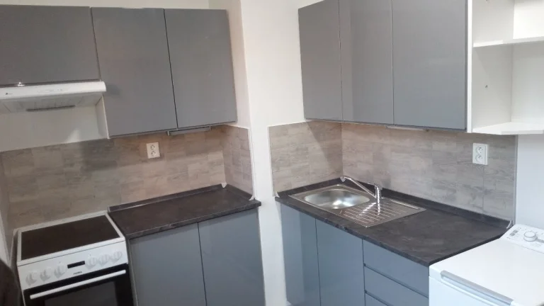 Pronajmu byt 1+1 v Dětřichově nad Bystřicí