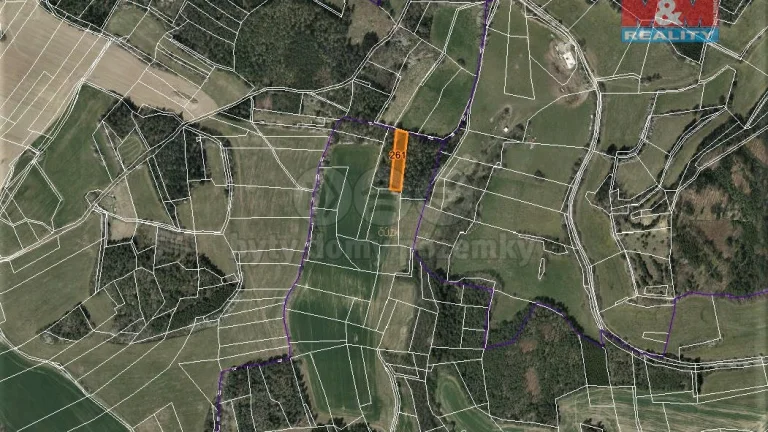 Prodej lesa, 3744 m², Úlehle
