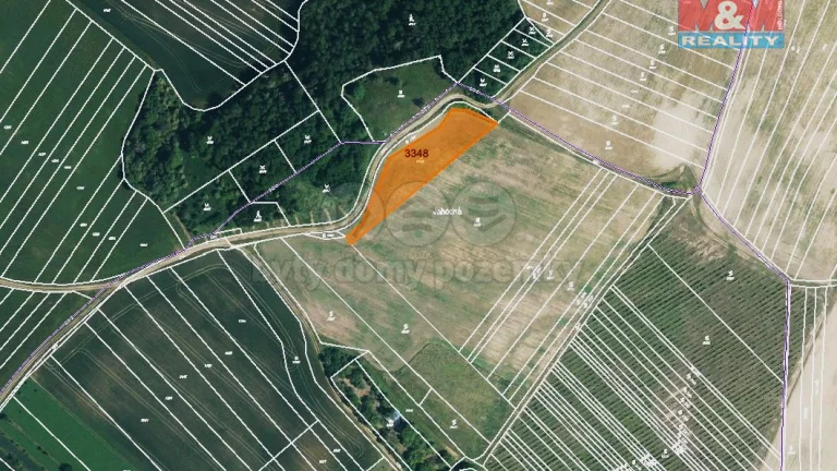 Prodej vinice, 1000 m², Ježov