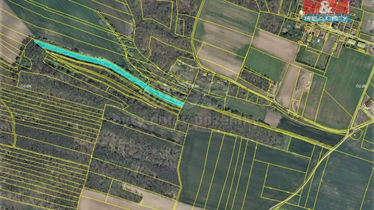 Prodej pozemku k bydlení, 6336 m², Budyně nad Ohří-Písty