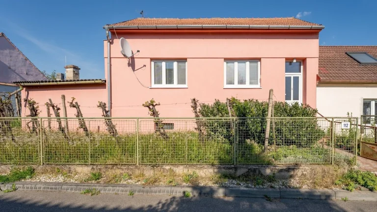 Hrušovany nad Jevišovkou, RD 4+1, zahrada, sklepy, letní kuc