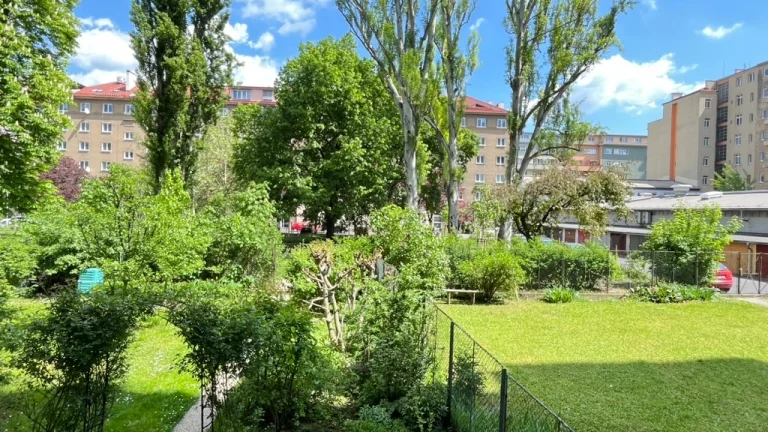 Pěkná nezařízená garsonka v blízkosti centra-ulice Botanická