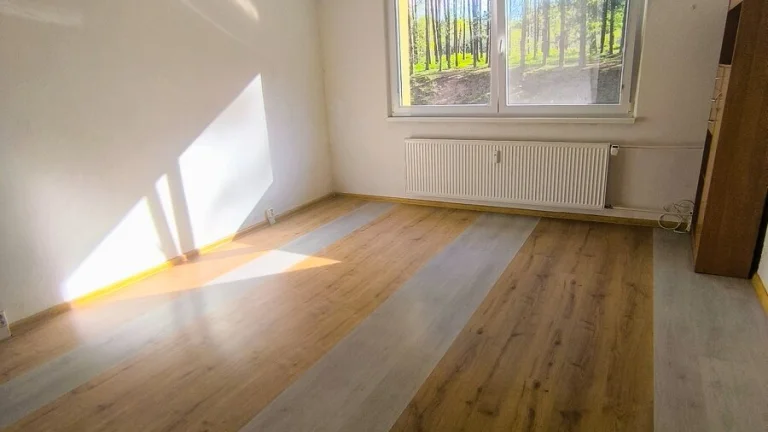 Pronajmu 2+1 ve Stráži pod Ralskem