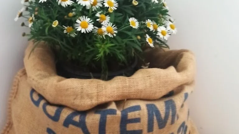 krátkodobý pronájem bytu